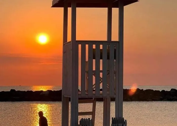 酒店 贾纳酒店 里米尼